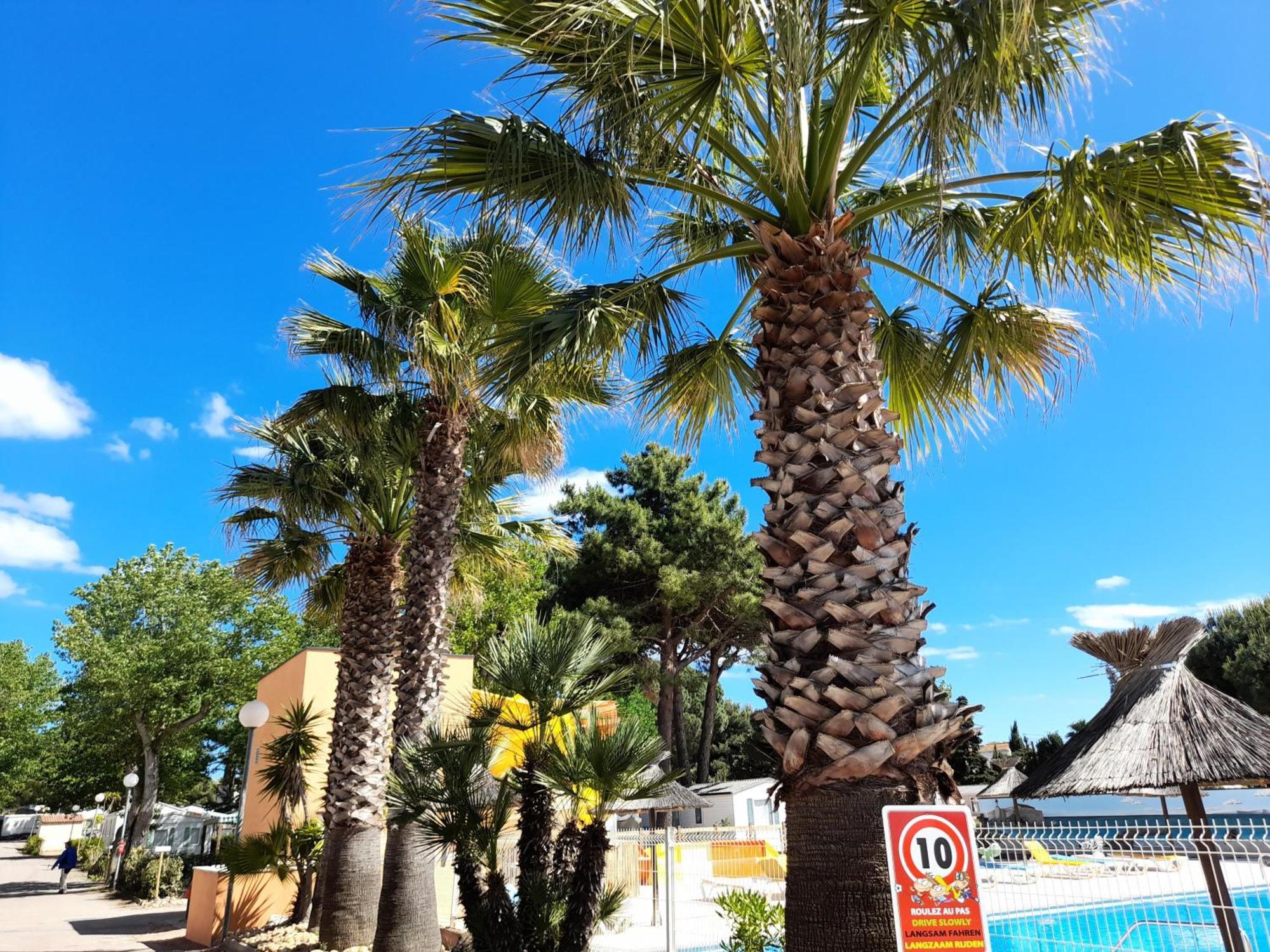 Camping Les Jardins D'Agathe - Maeva Le Grau-d'Agde Exterior photo